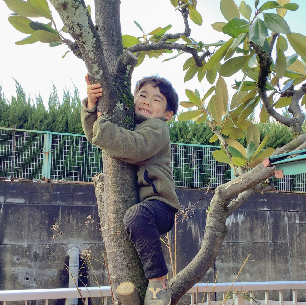 木登りをしている園児